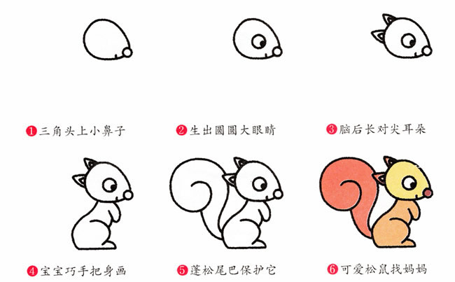帶顏色的松鼠簡(jiǎn)筆畫(huà)步驟