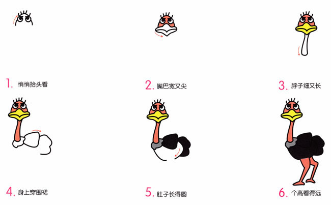帶顏色的鴕鳥簡筆畫