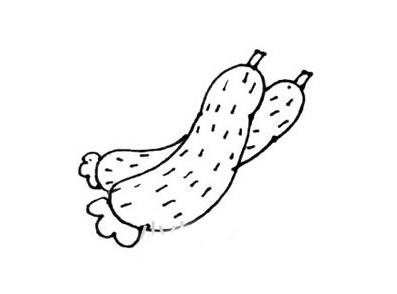一步步教你畫黃瓜