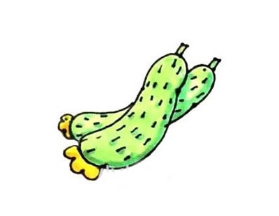 一步步教你畫黃瓜
