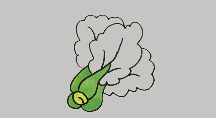 青菜怎么畫